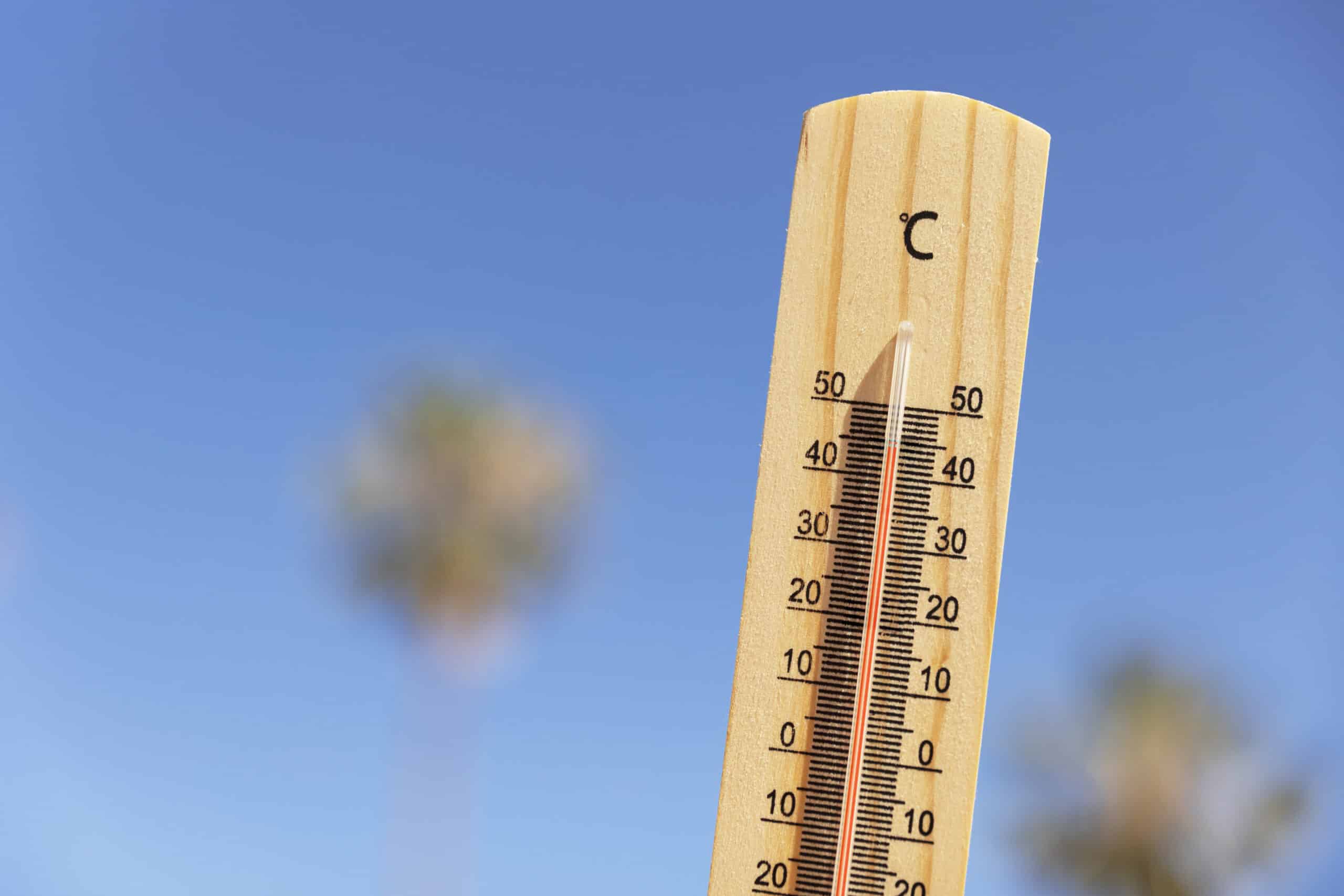 Is heat dangerous for your heart? Risks & tips